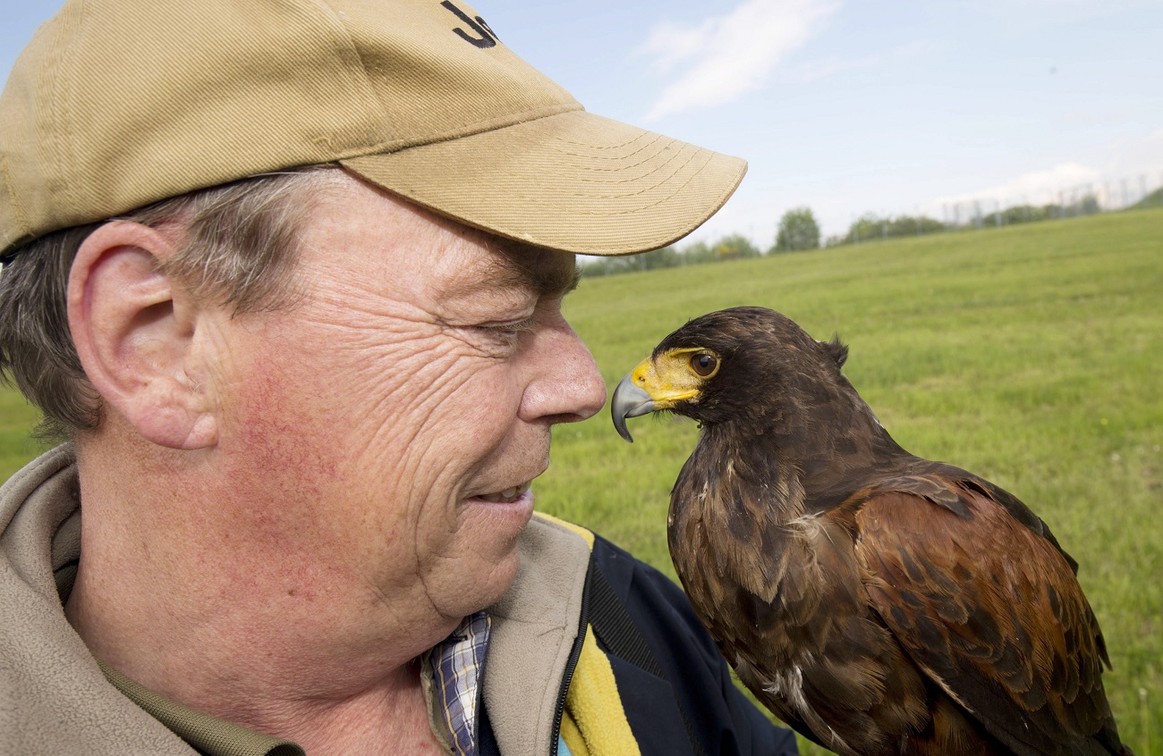 Falkner mit Dienstfalken am Hamburg Airport