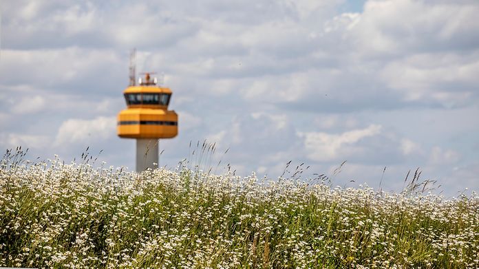 umwelt-tower-blumen