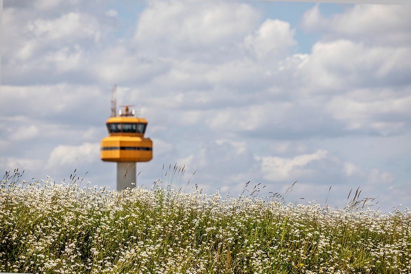 umwelt-tower-blumen