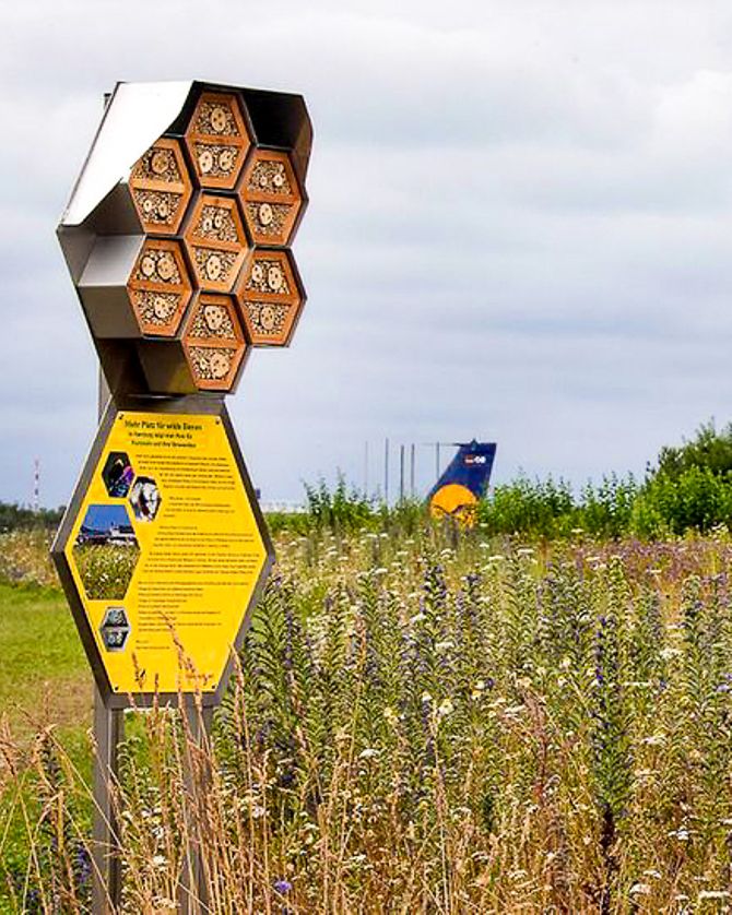 bienenhotel-auf-vorfeld