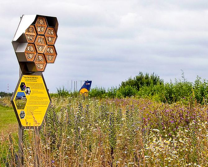 bienenhotel-auf-vorfeld