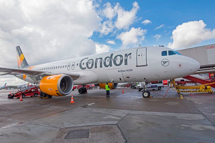 Condor_940(1)