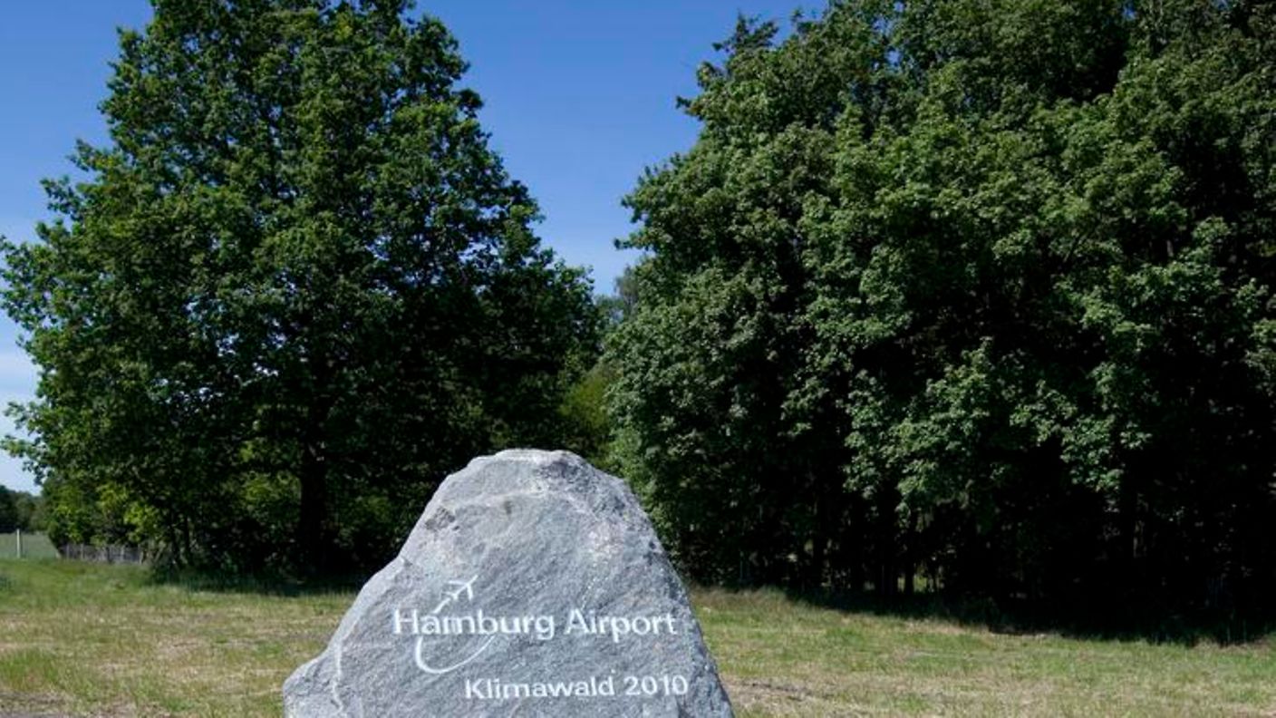 Stein am Klimawald des Hamburg Airport