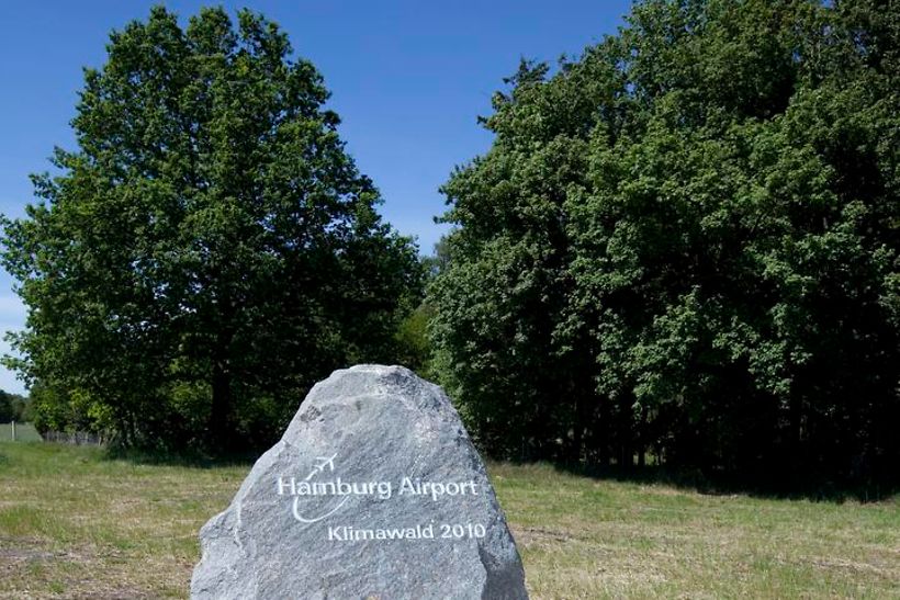 Stein am Klimawald des Hamburg Airport