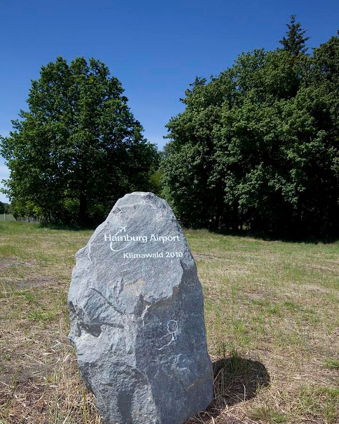 Stein am Klimawald des Hamburg Airport