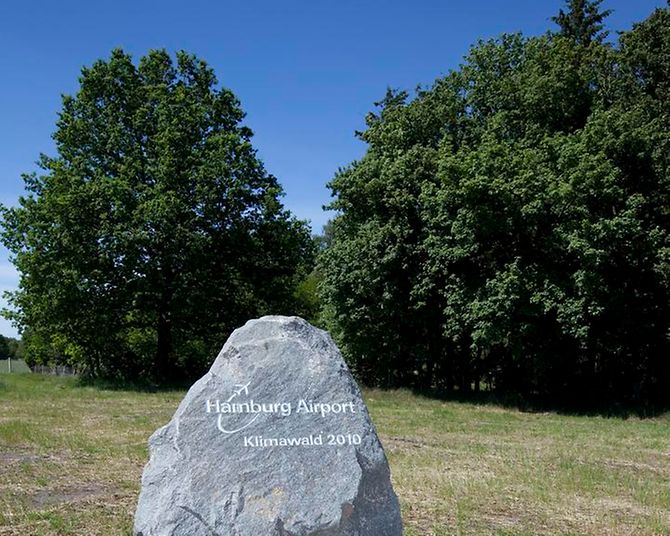 Stein am Klimawald des Hamburg Airport