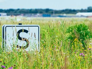 Grüne Wiese am Hamburg Airport