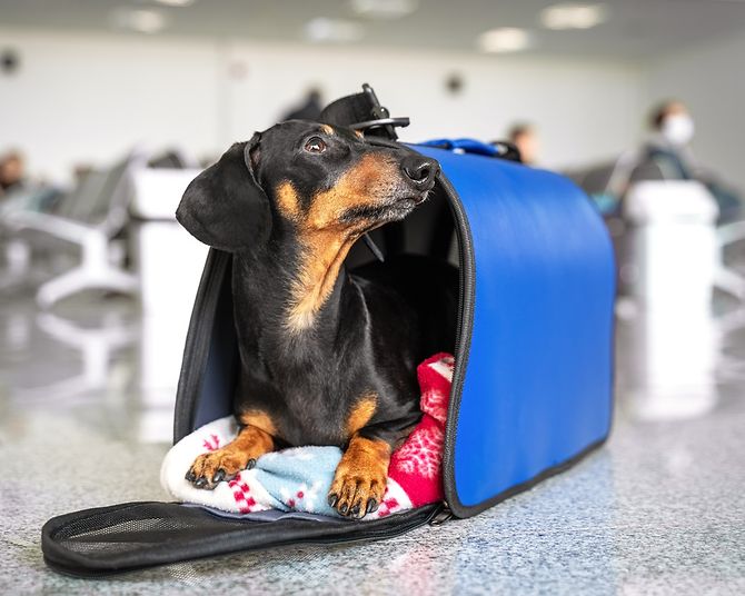 sperrgepaeck-playbutton