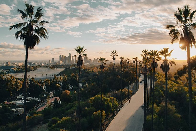 Straße und Palmen beim Sonnenuntergang in Los Angeles