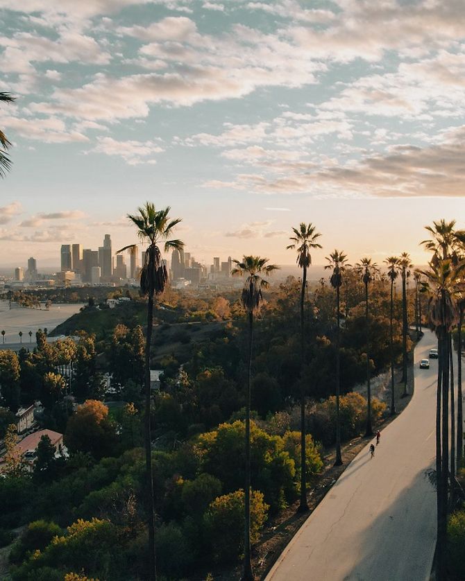 Straße und Palmen beim Sonnenuntergang in Los Angeles