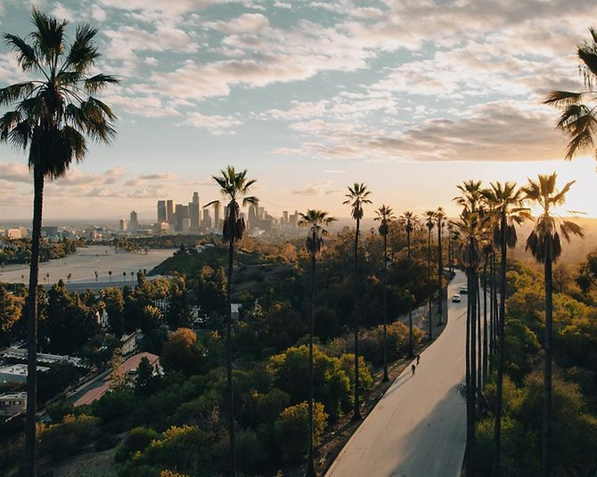 Straße und Palmen beim Sonnenuntergang in Los Angeles