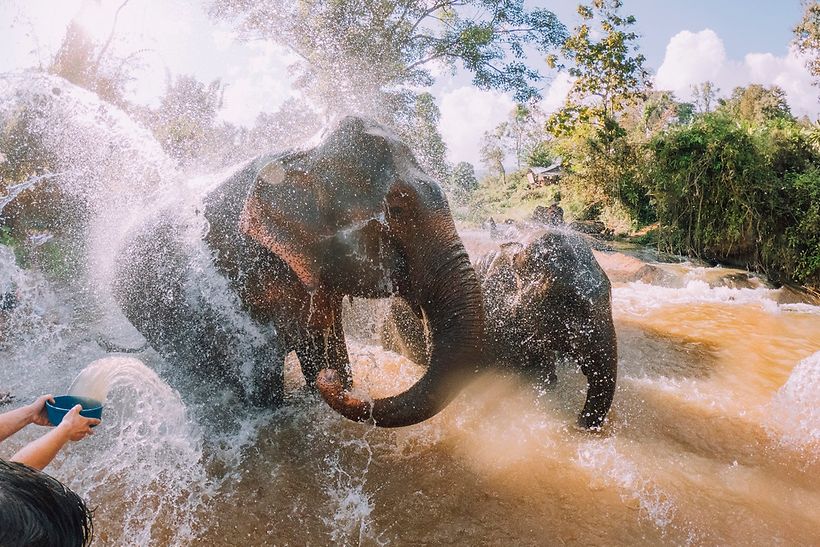 Elefanten baden in Thailand