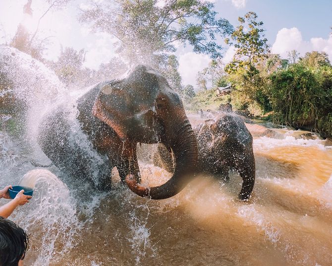 Elefanten baden in Thailand