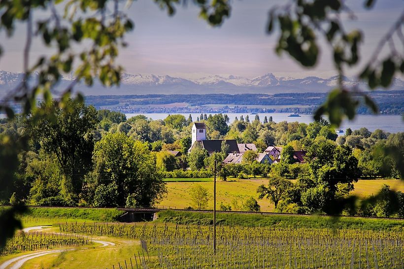 Grüne Landschaft und schneebedeckte Berge am Bodensee