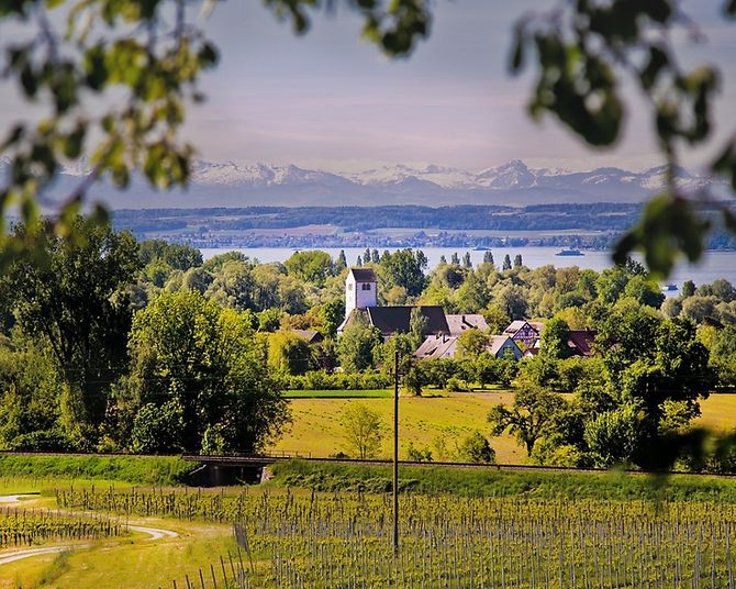 Grüne Landschaft und schneebedeckte Berge am Bodensee