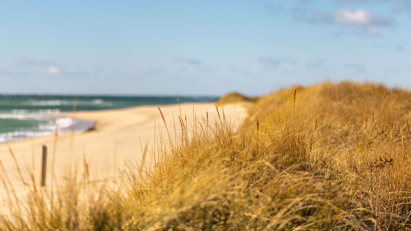 Düne am Strand von Cape Cod