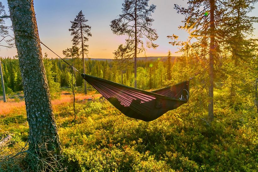 Hängematte im Wald in Lappland