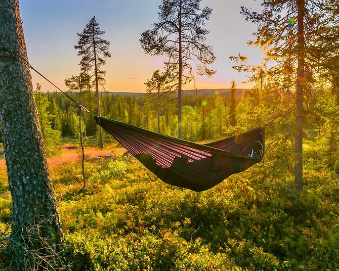 Hängematte im Wald in Lappland