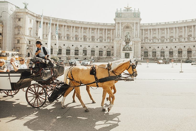 Pferdekutsche in Wien