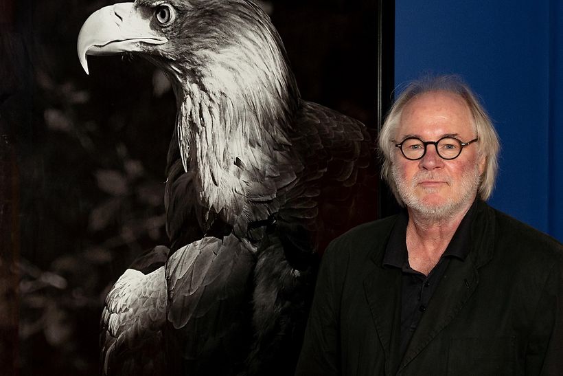 Tom Krausz präsentiert Ausstellung „Aves“ bei Kunst am Gate