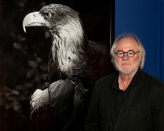 Tom Krausz präsentiert Ausstellung „Aves“ bei Kunst am Gate