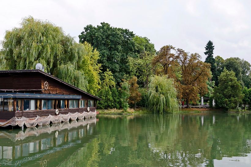 See und grüne Bäume im Park Borisova Gradina in Sofia