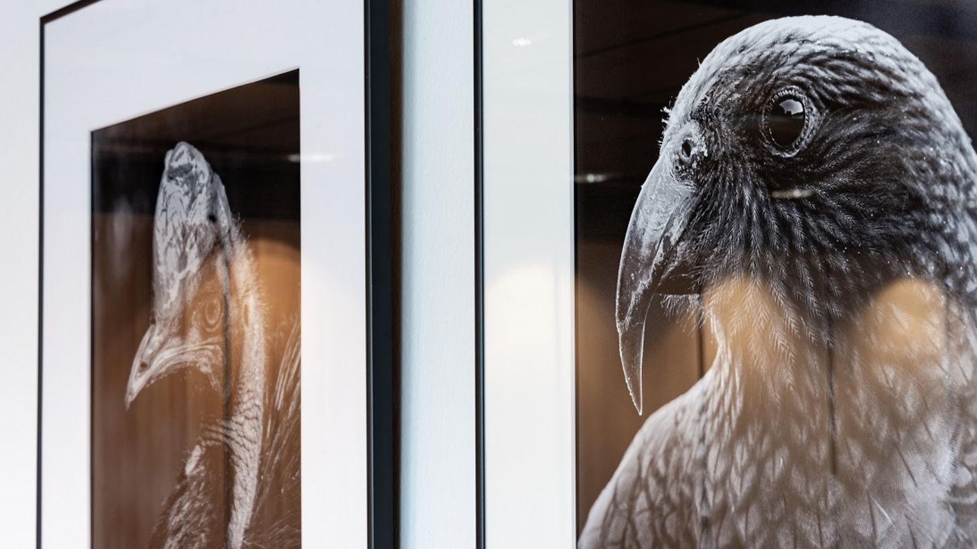 Ausstellung an den Gates am Hamburg Airport