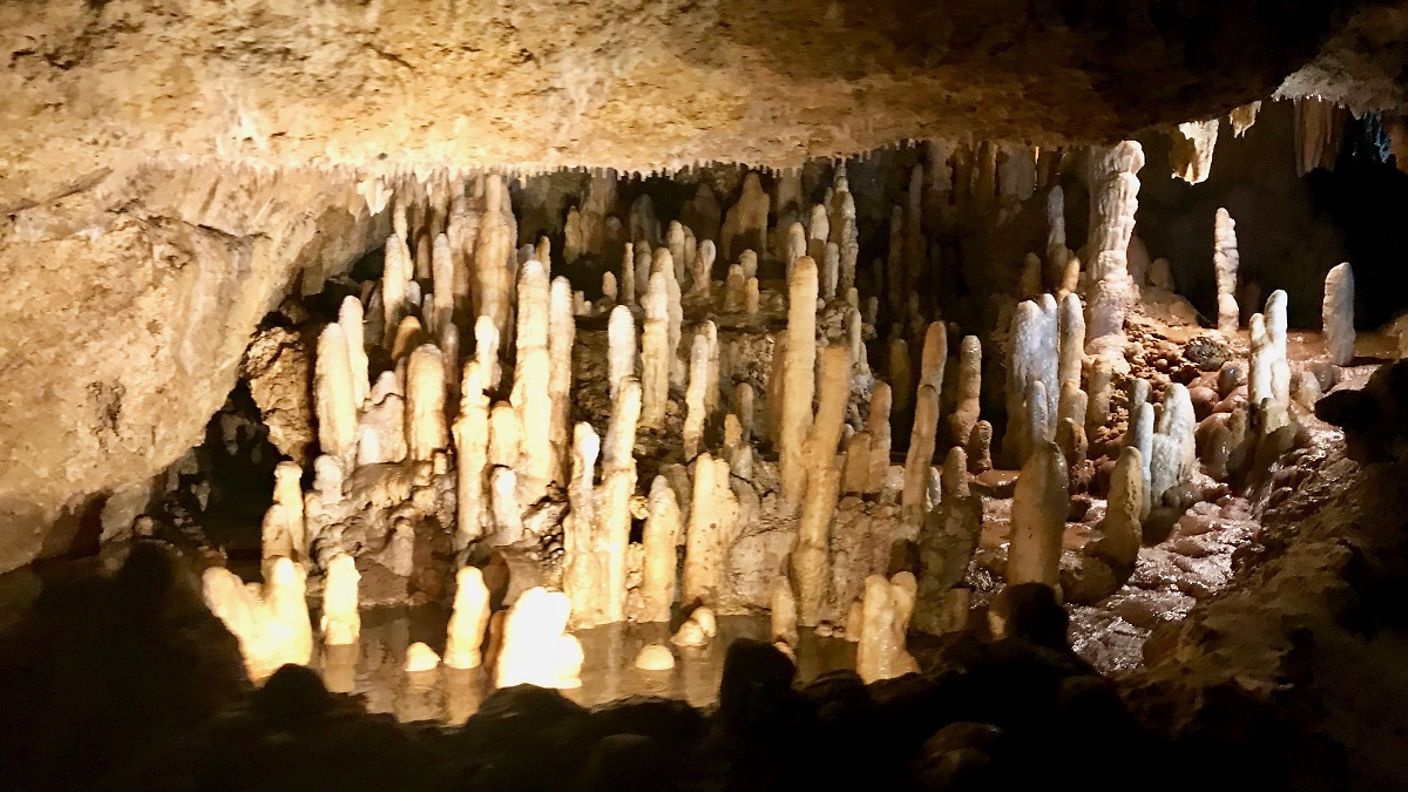 Tropfsteinhöhle auf Barbados