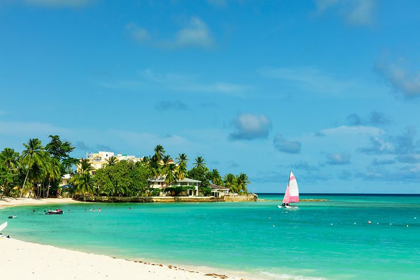 Strand mit Palmen auf Barbados
