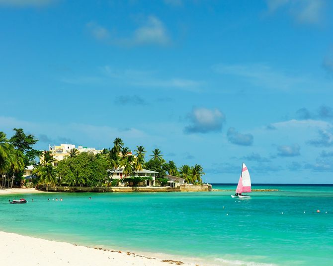 Strand mit Palmen auf Barbados