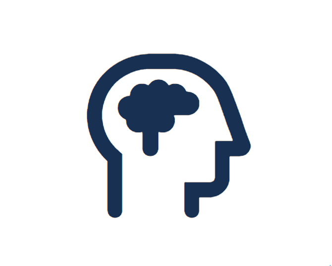 brain