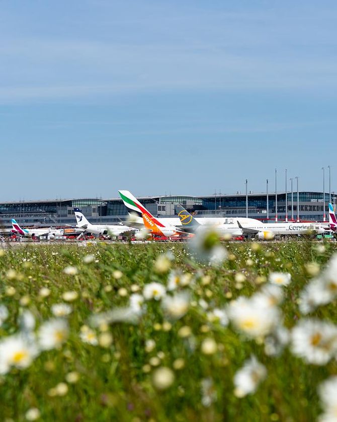 Umweltschutz am Hamburg Airport