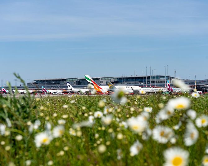 Umweltschutz am Hamburg Airport
