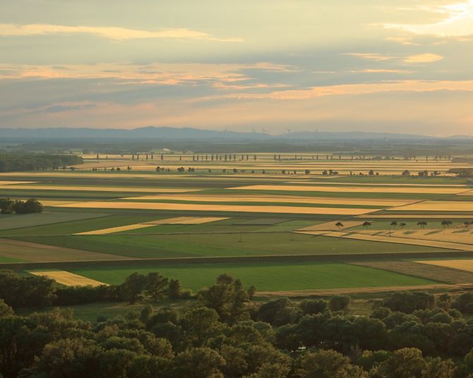 Windpark Heidmoor