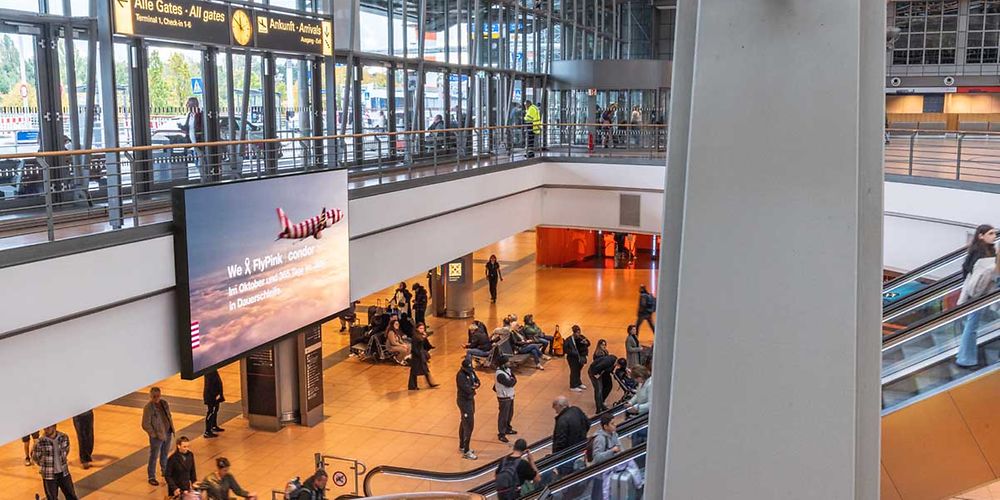 Videowall Terminal 2​