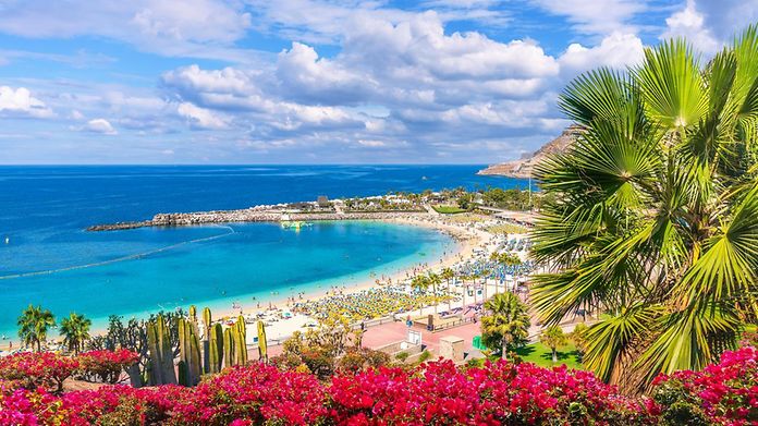 Fly non-stop from Hamburg to Gran Canaria 