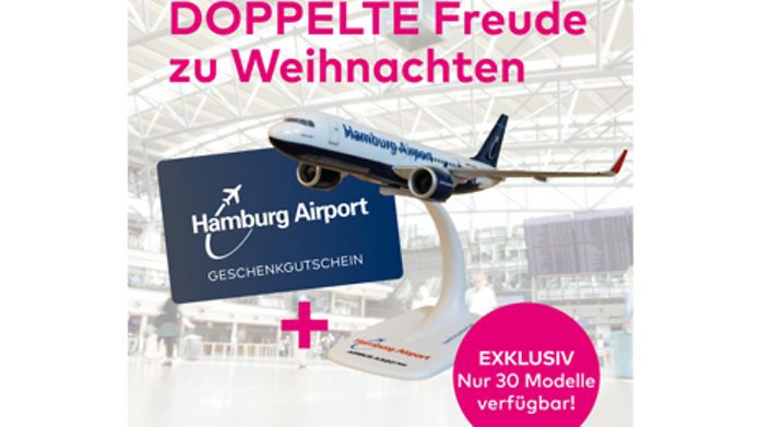 web-gutschein-flugzeugmodell-klein