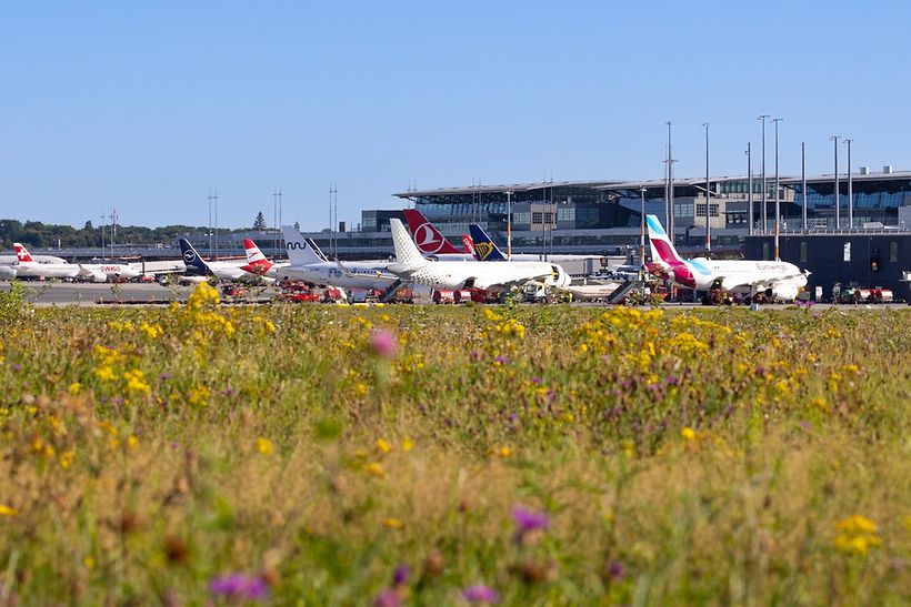 Zahlreiche Airlines erweitern ihr Angebot ab Hamburg Airport