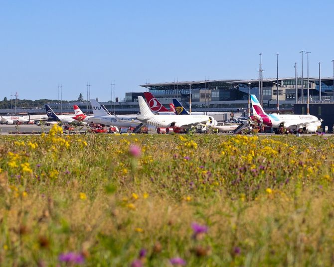 Zahlreiche Airlines erweitern ihr Angebot ab Hamburg Airport
