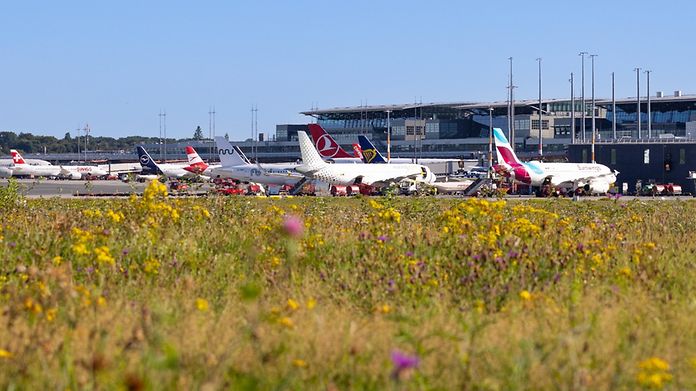 airlines-vorfeld-sommer-en