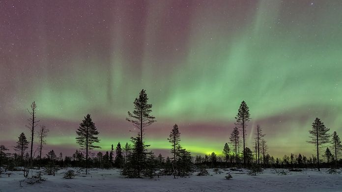 direktziele-kuusamo